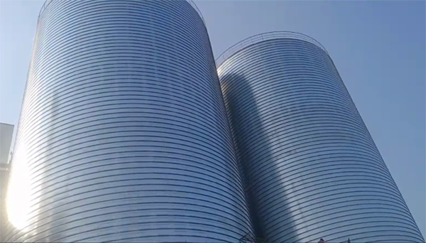 罗城2座混凝土高架卷板仓